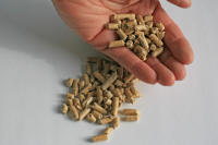  RainerSturm / PIXELIO